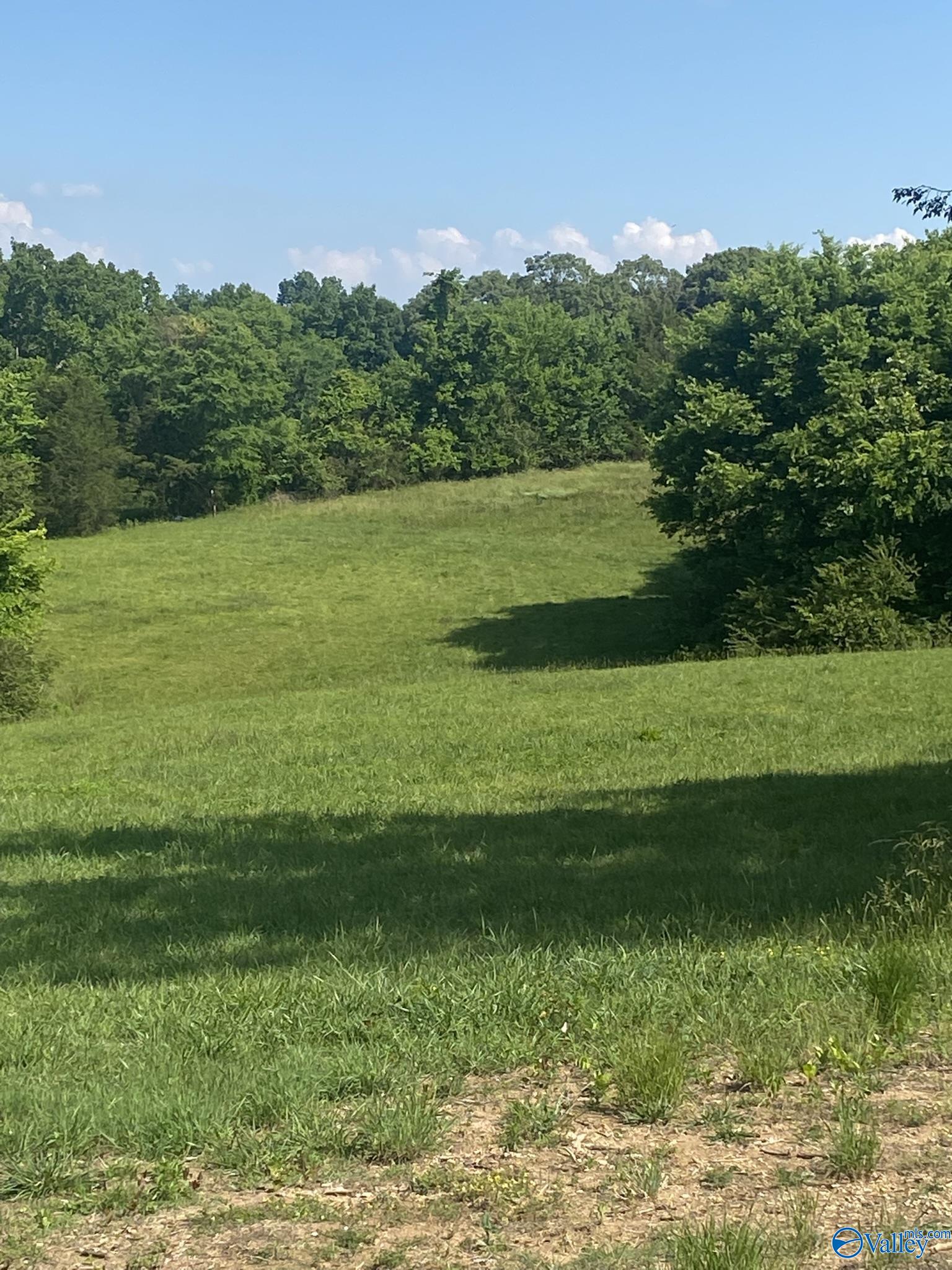 19.27 Acres County Road 656