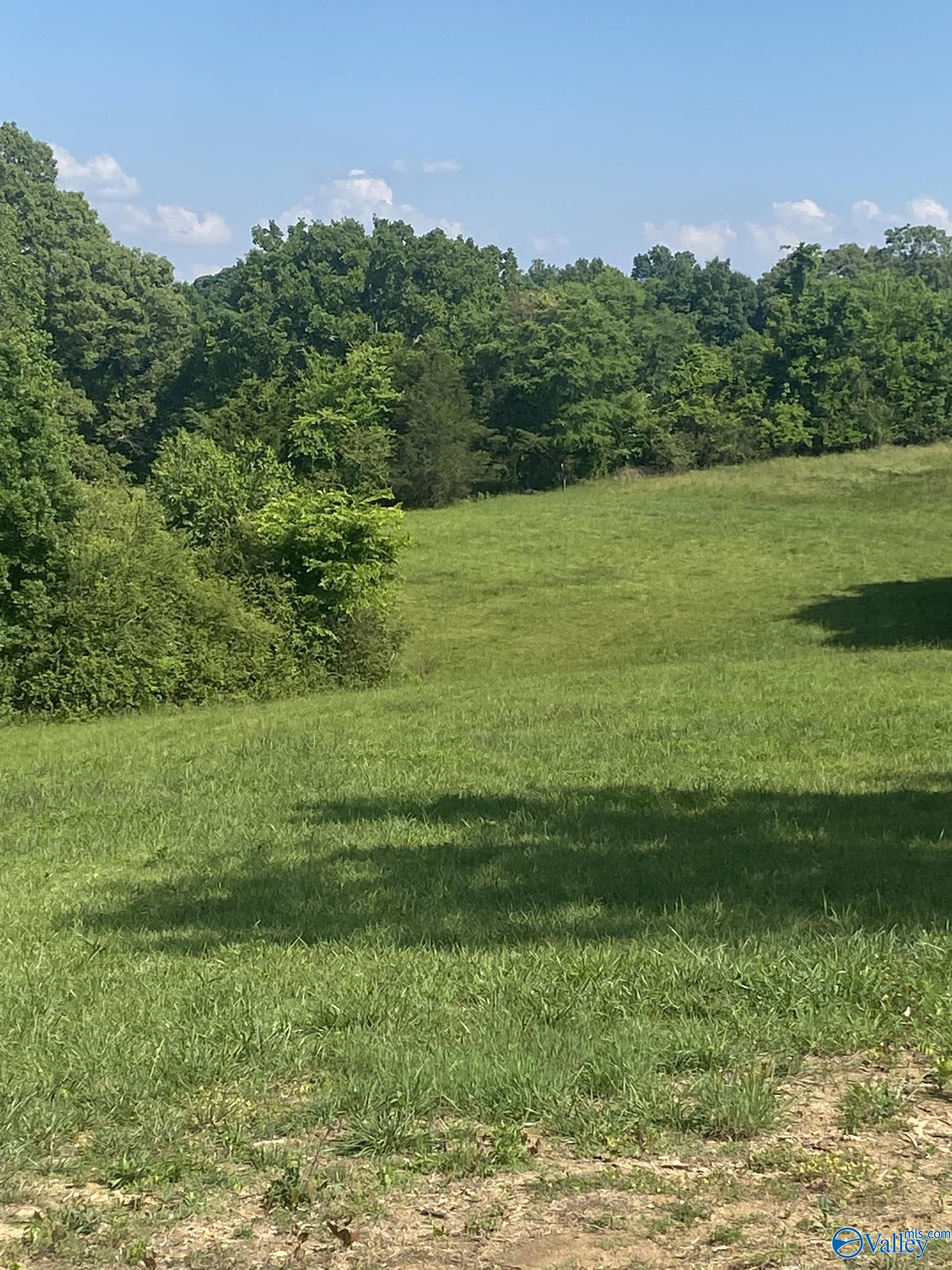 19.27 Acres County Road 656