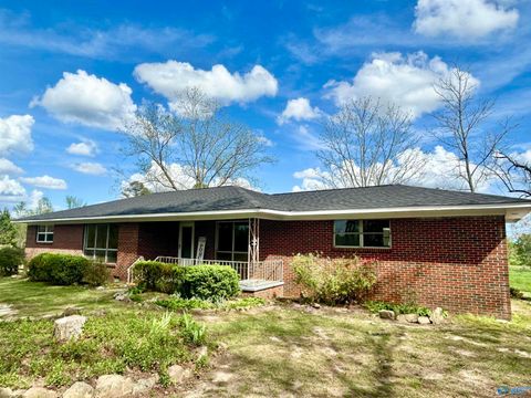 715 County Road 99 Fort Payne AL 35967