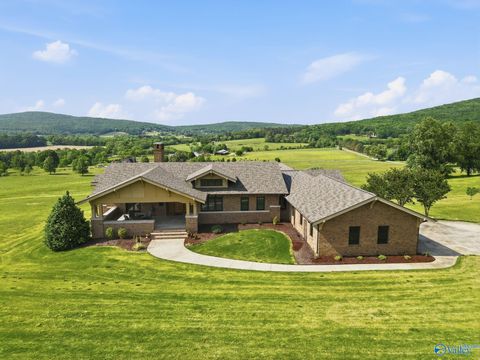 Photo of 131 Keiffer Circle, New Market, AL 35761 (MLS # 21916750)