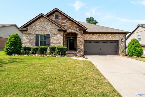 Homes For Sale - 423 Fern Terrace Drive<br/> Madison, AL 35757