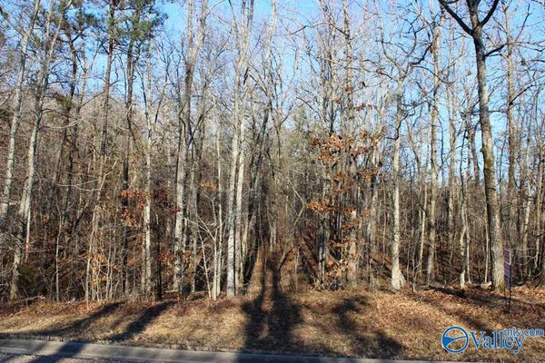 NA RAINTREE DRIVE, CENTRE, AL 35960 - Image 69d1733877a64df6b190f3fa4e7527ce/750958931