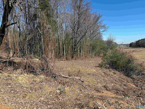 Vacant Land For Sale - 13 ACRES Gordon Terry Parkway<br/> Morgan County, Decatur, AL 35603