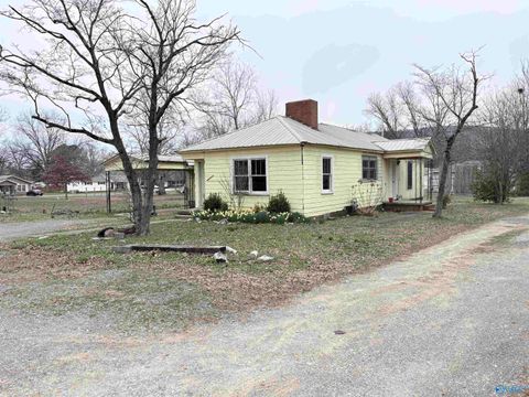 Photo of 310 Hodges Street, Scottsboro, AL 35768 (MLS # 21911205)