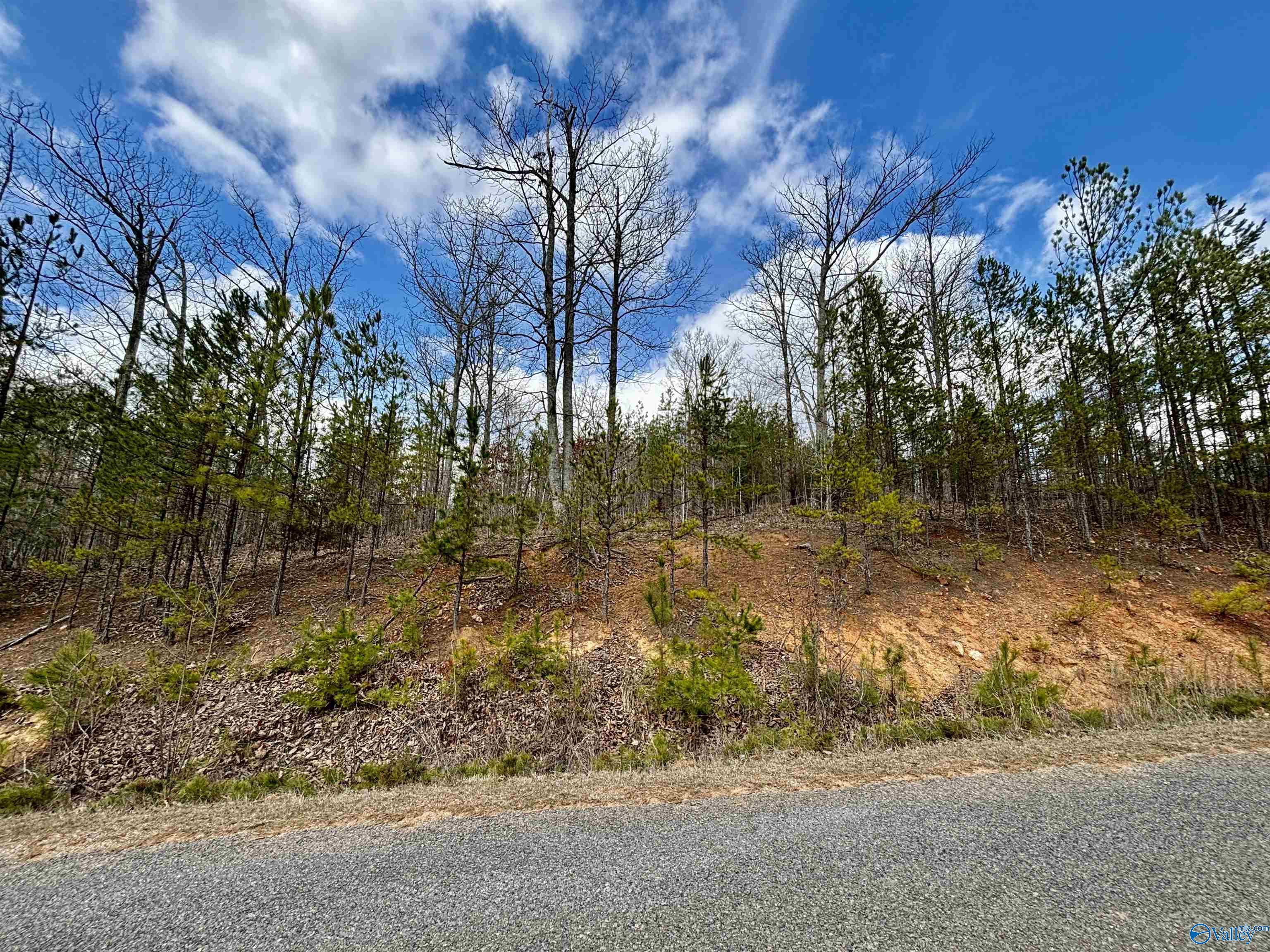 2.92 County Road 368, Centre, Alabama image 1