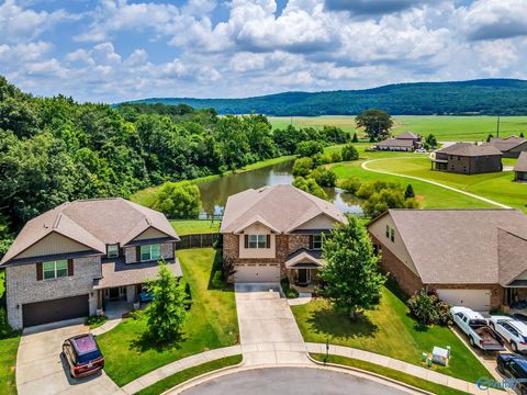 Homes For Sale - 126 Edmund Circle<br/> New Market, AL 35761