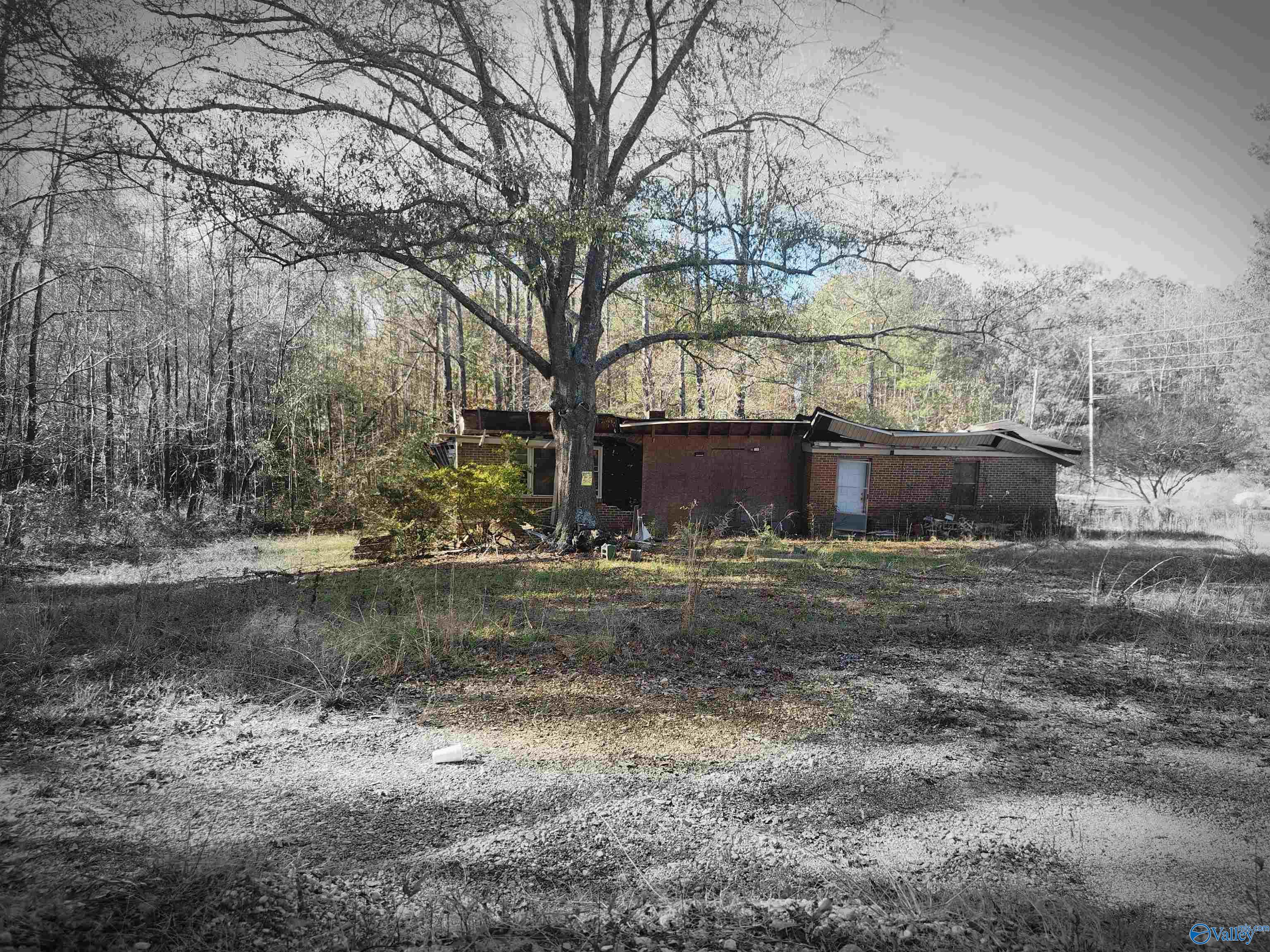 2537 County Highway 122, Hamilton, Alabama image 39