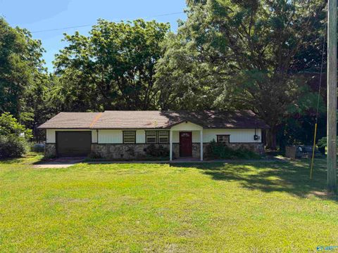 Homes For Sale - 75934 Highway 231<br/> Blountsville, AL 35031