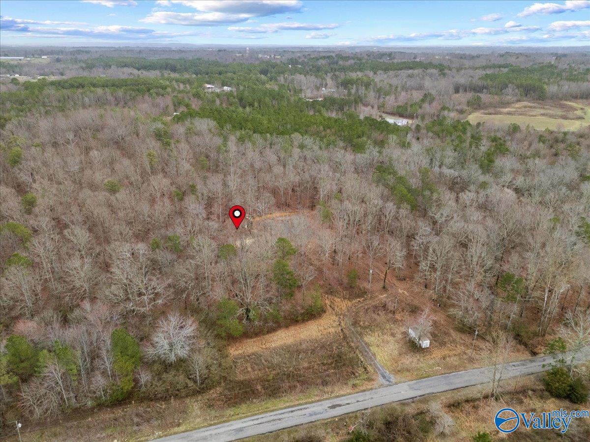 1782 County Road 78, Pisgah, Alabama image 32