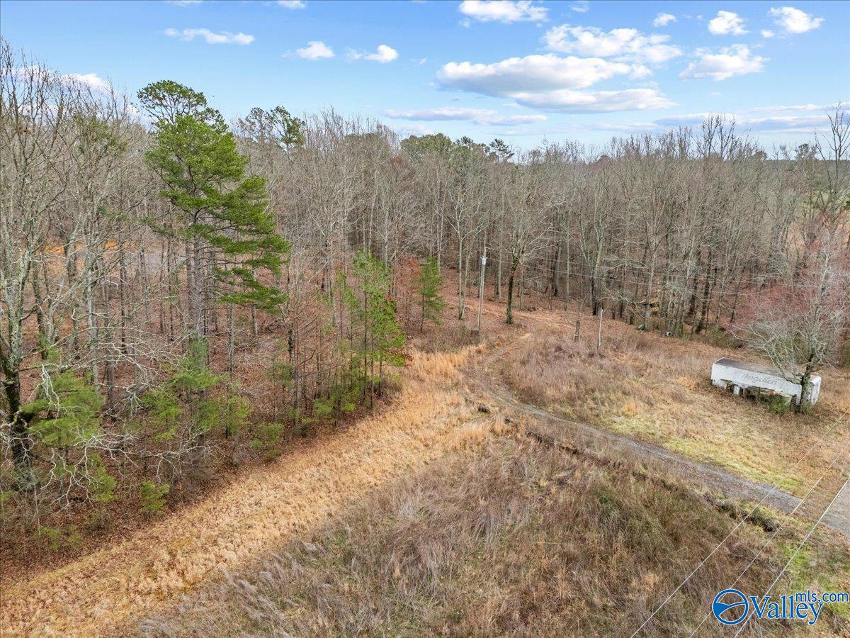 1782 County Road 78, Pisgah, Alabama image 34