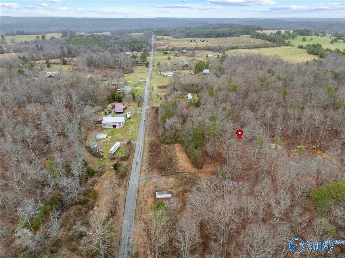 1782 County Road 78, Pisgah, Alabama image 12