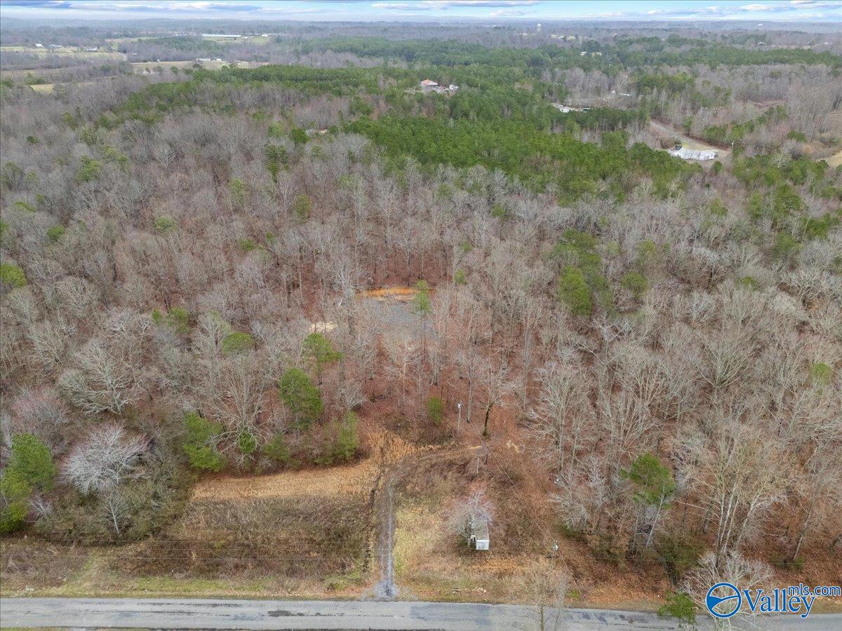 1782 County Road 78, Pisgah, Alabama image 6
