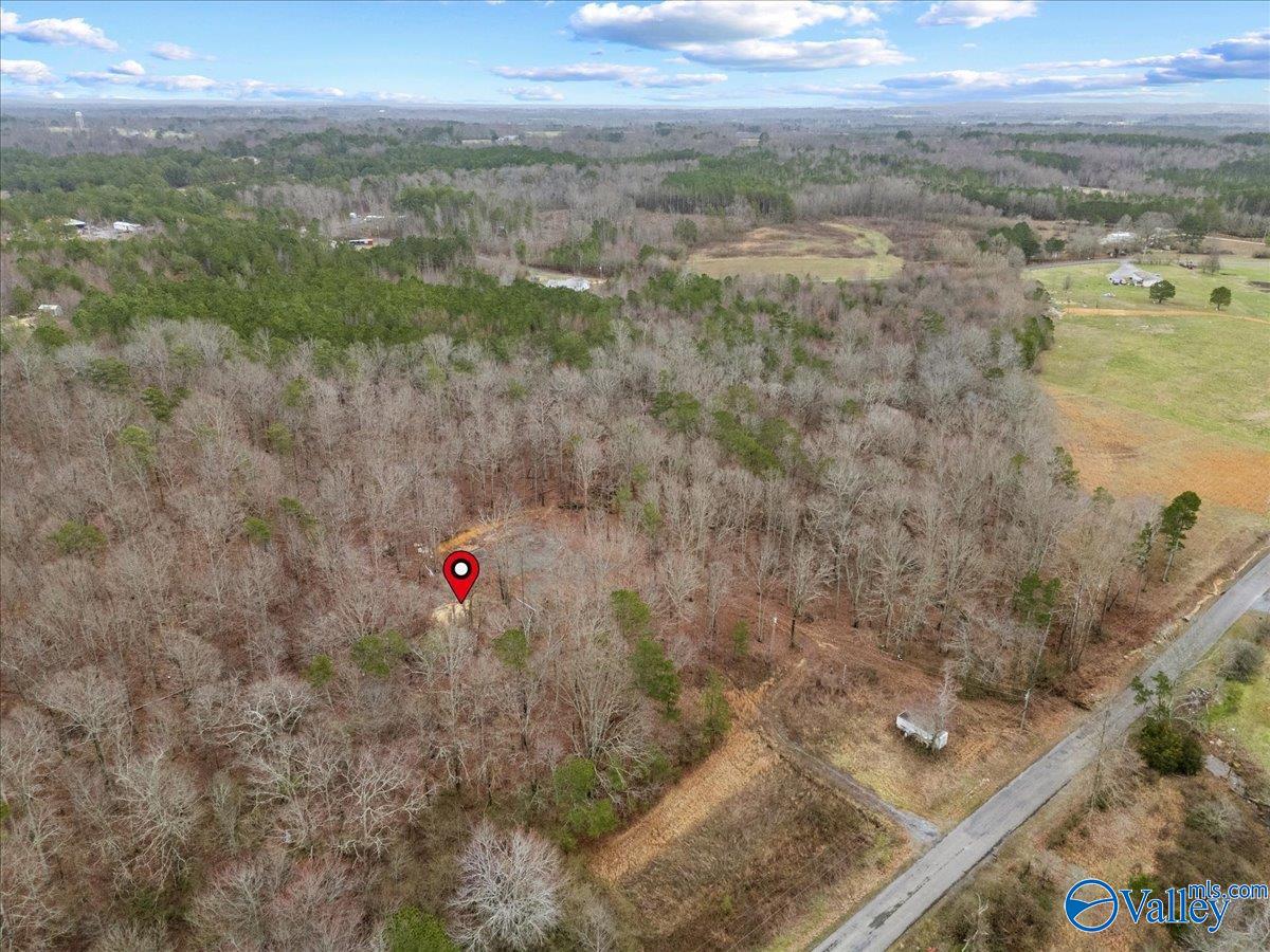 1782 County Road 78, Pisgah, Alabama image 30