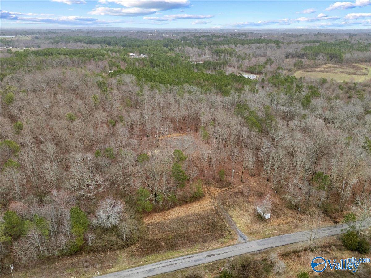 1782 County Road 78, Pisgah, Alabama image 33
