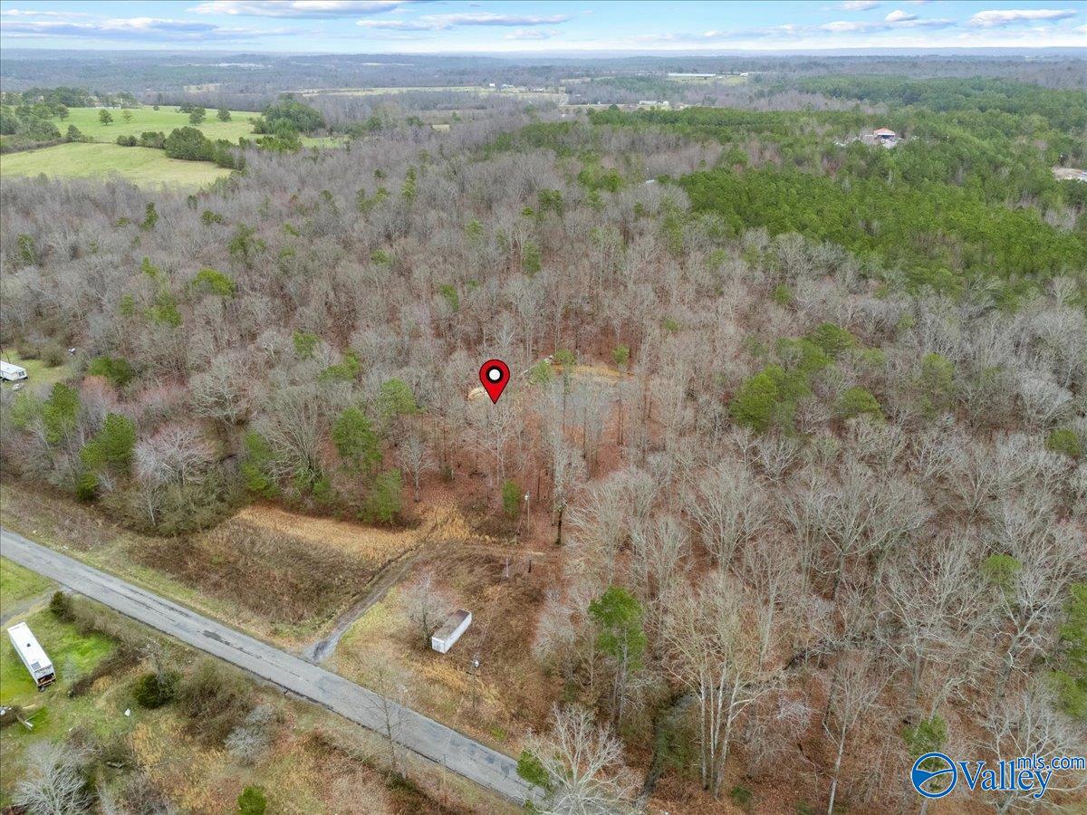 1782 County Road 78, Pisgah, Alabama image 7