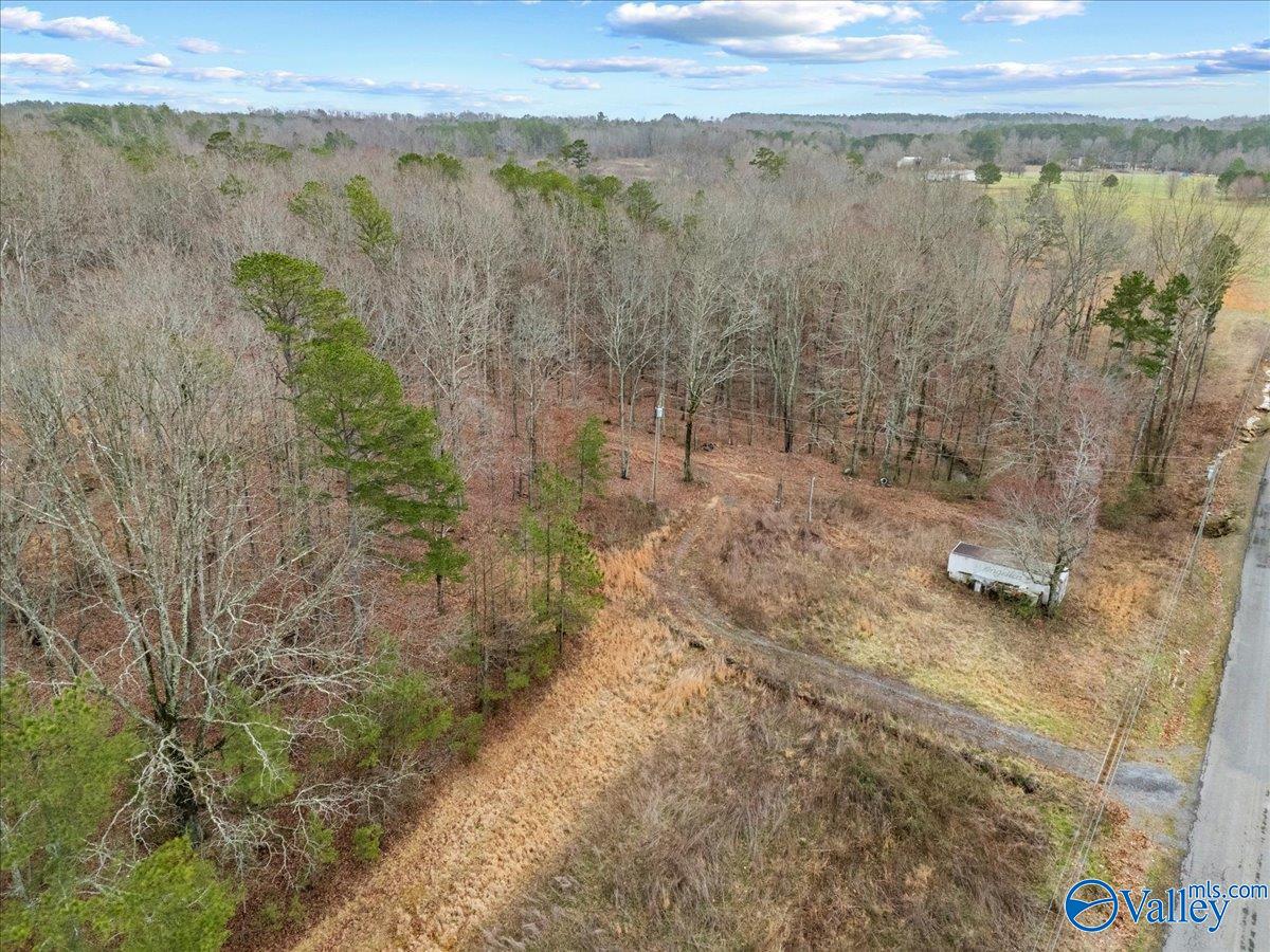 1782 County Road 78, Pisgah, Alabama image 35
