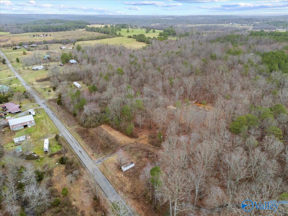 1782 County Road 78, Pisgah, Alabama image 11