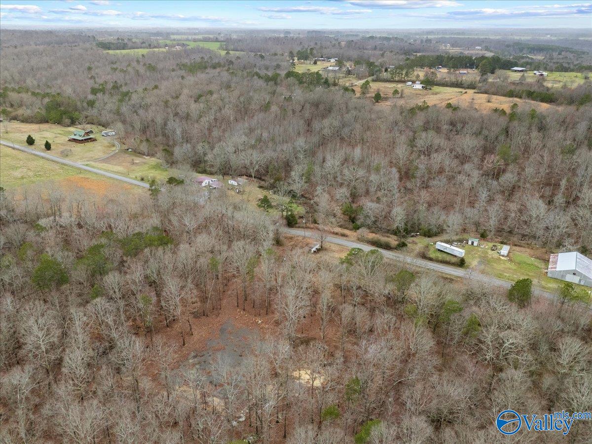 1782 County Road 78, Pisgah, Alabama image 23