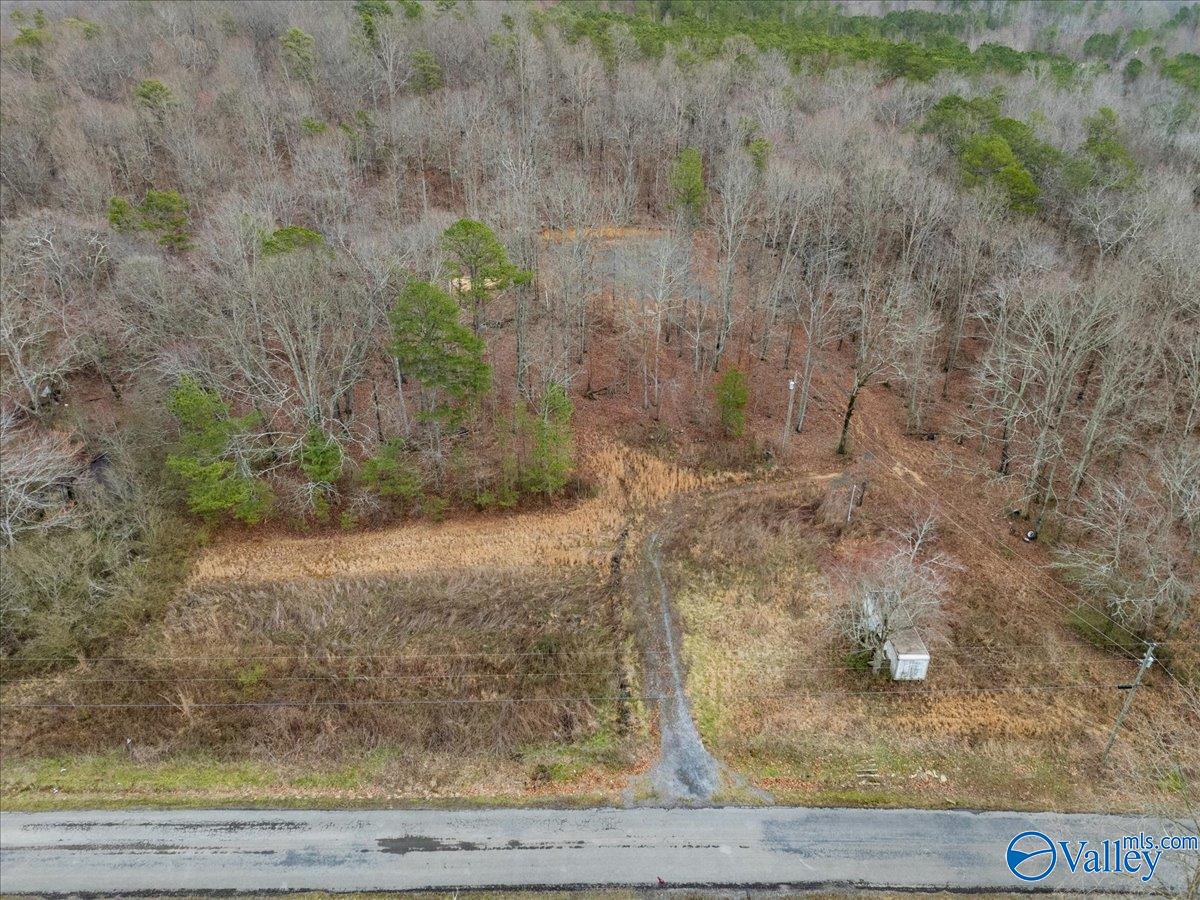 1782 County Road 78, Pisgah, Alabama image 3