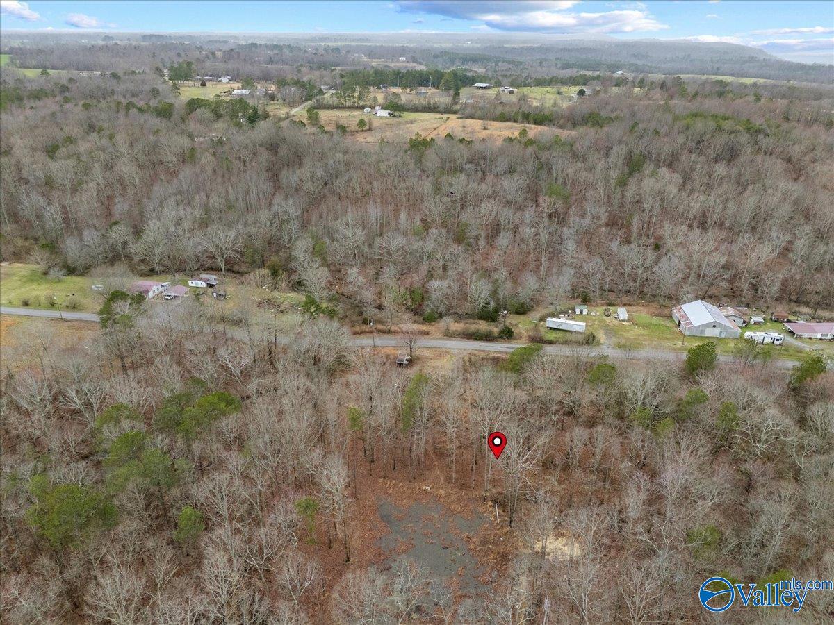 1782 County Road 78, Pisgah, Alabama image 20