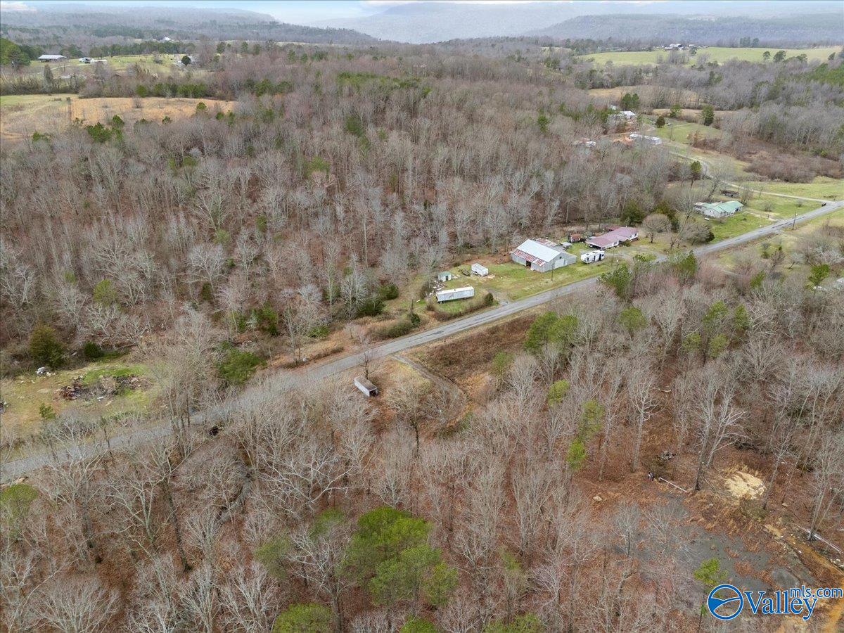 1782 County Road 78, Pisgah, Alabama image 17