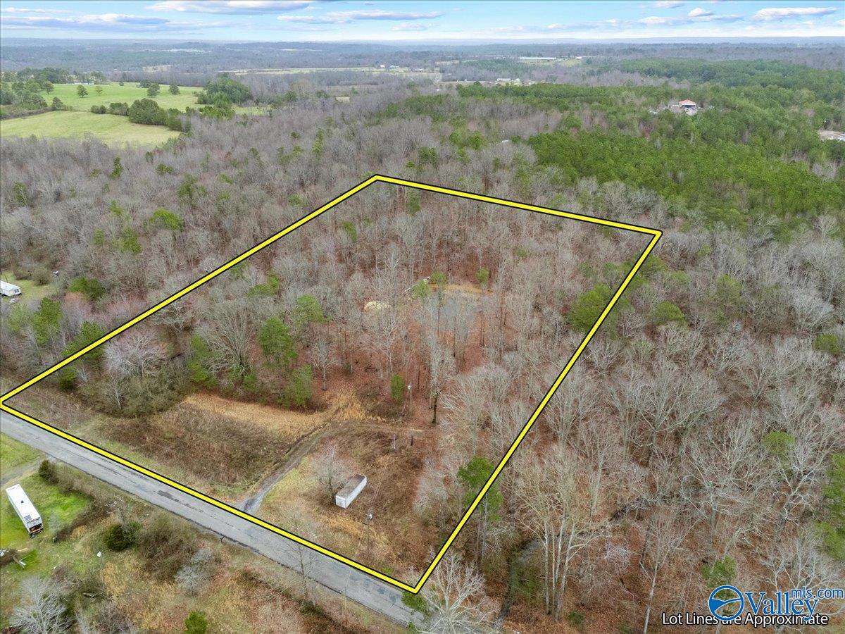 1782 County Road 78, Pisgah, Alabama image 1