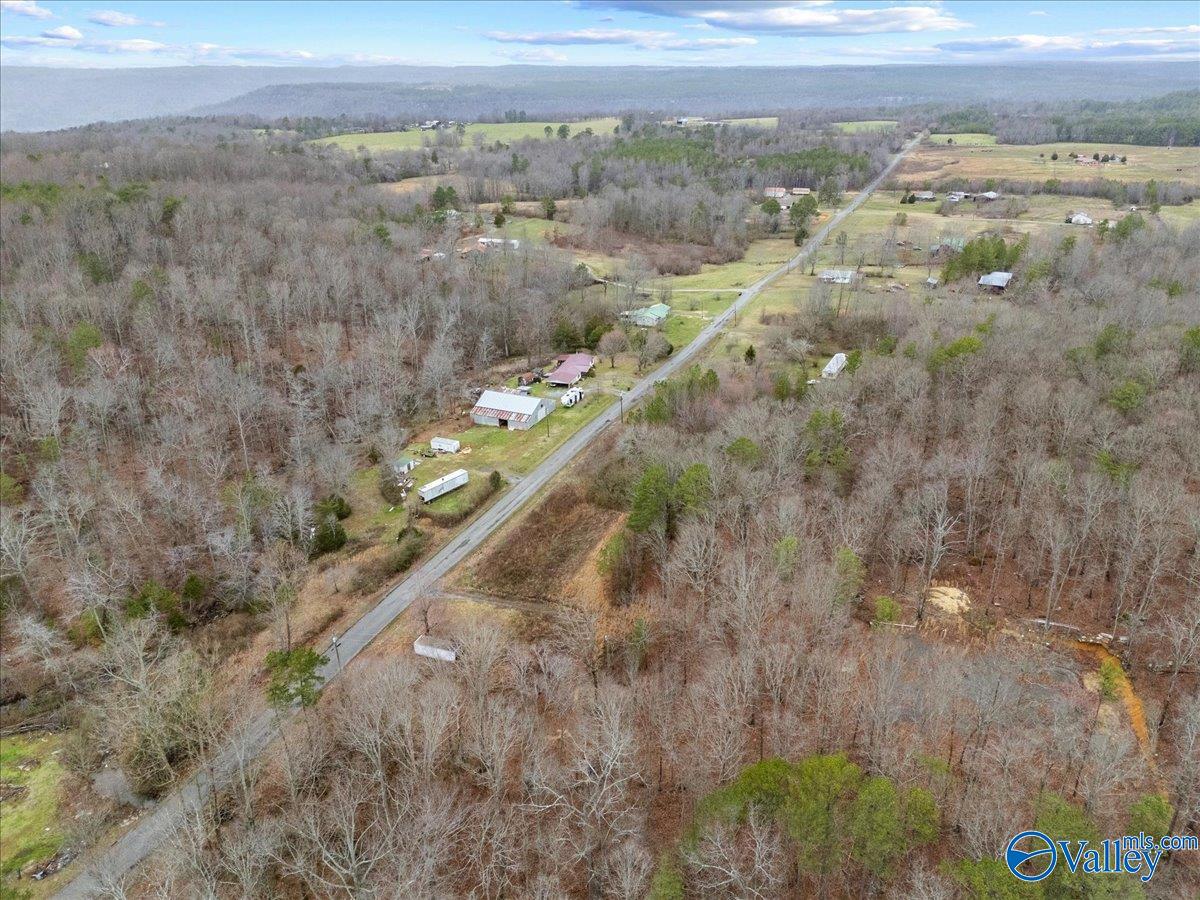 1782 County Road 78, Pisgah, Alabama image 15