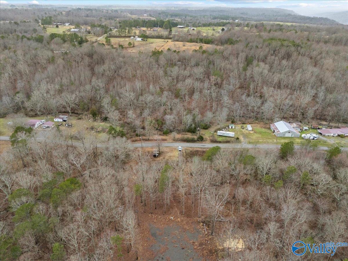 1782 County Road 78, Pisgah, Alabama image 19