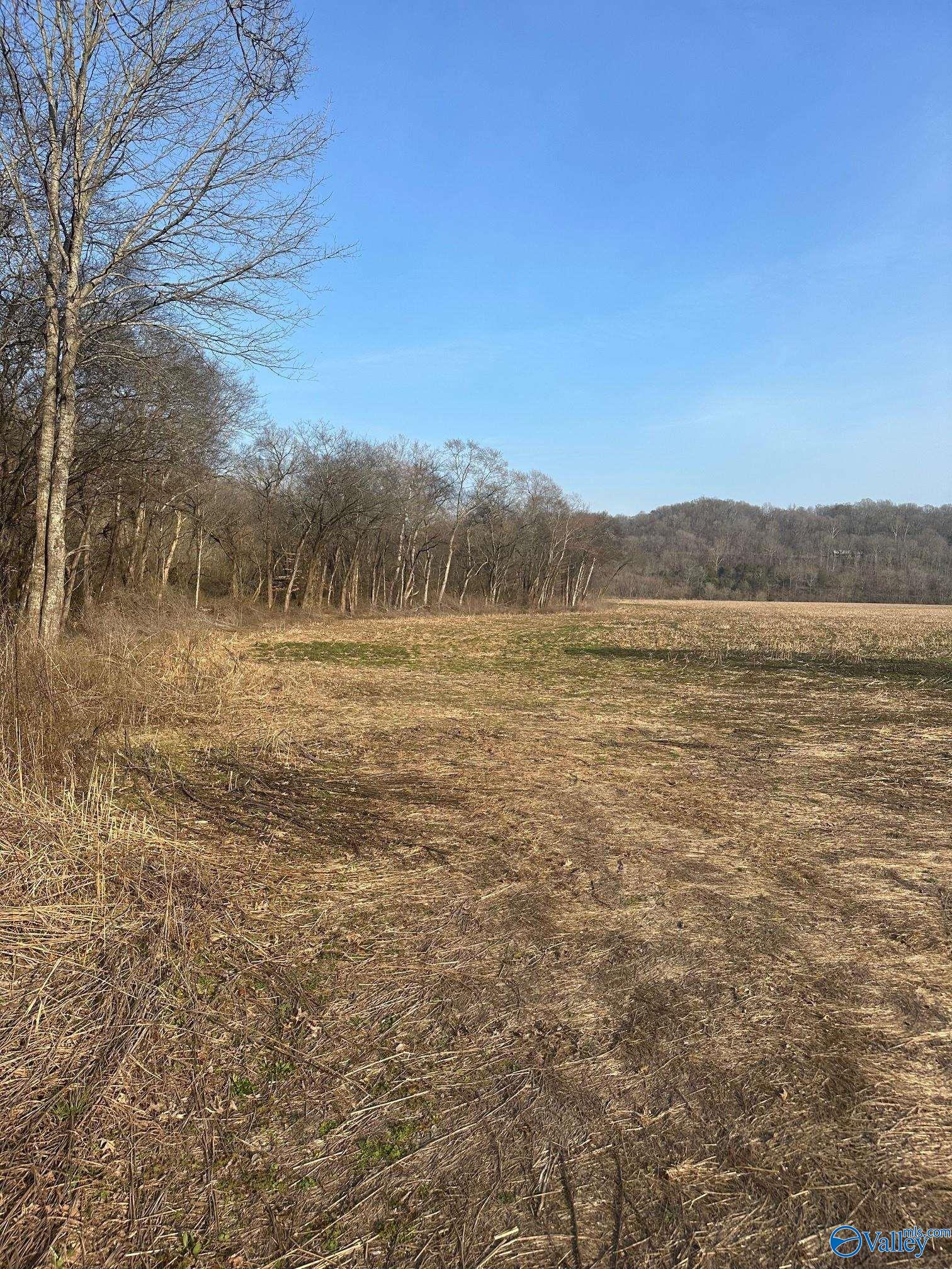 69 Acres Dee Solomon Road, Dellrose, Tennessee image 4