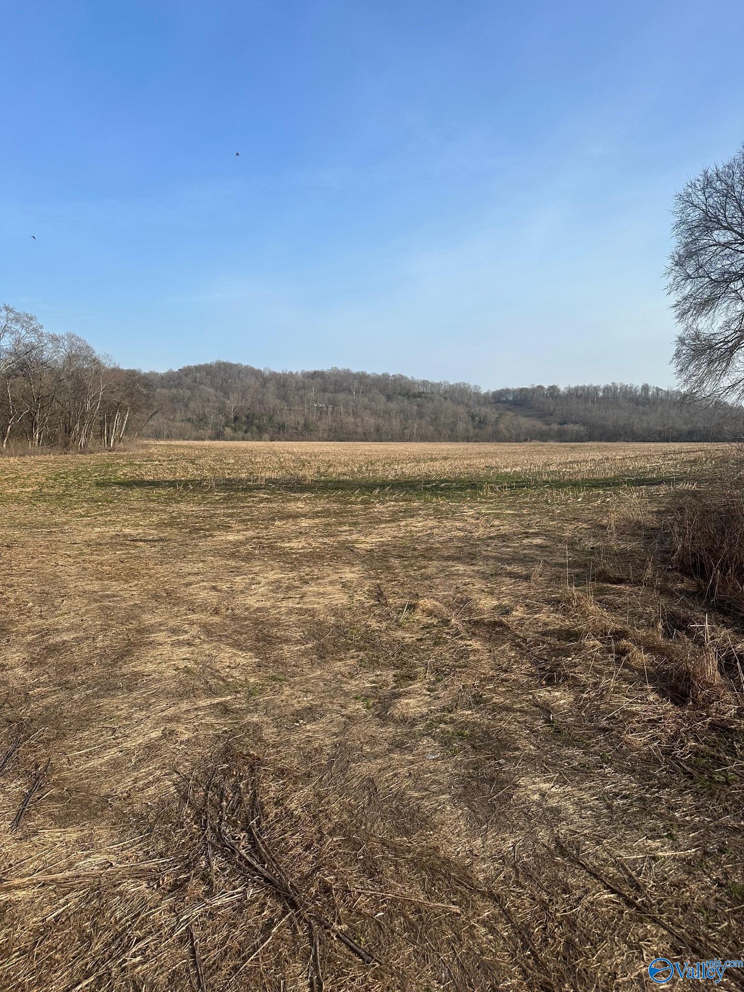 69 Acres Dee Solomon Road, Dellrose, Tennessee image 2