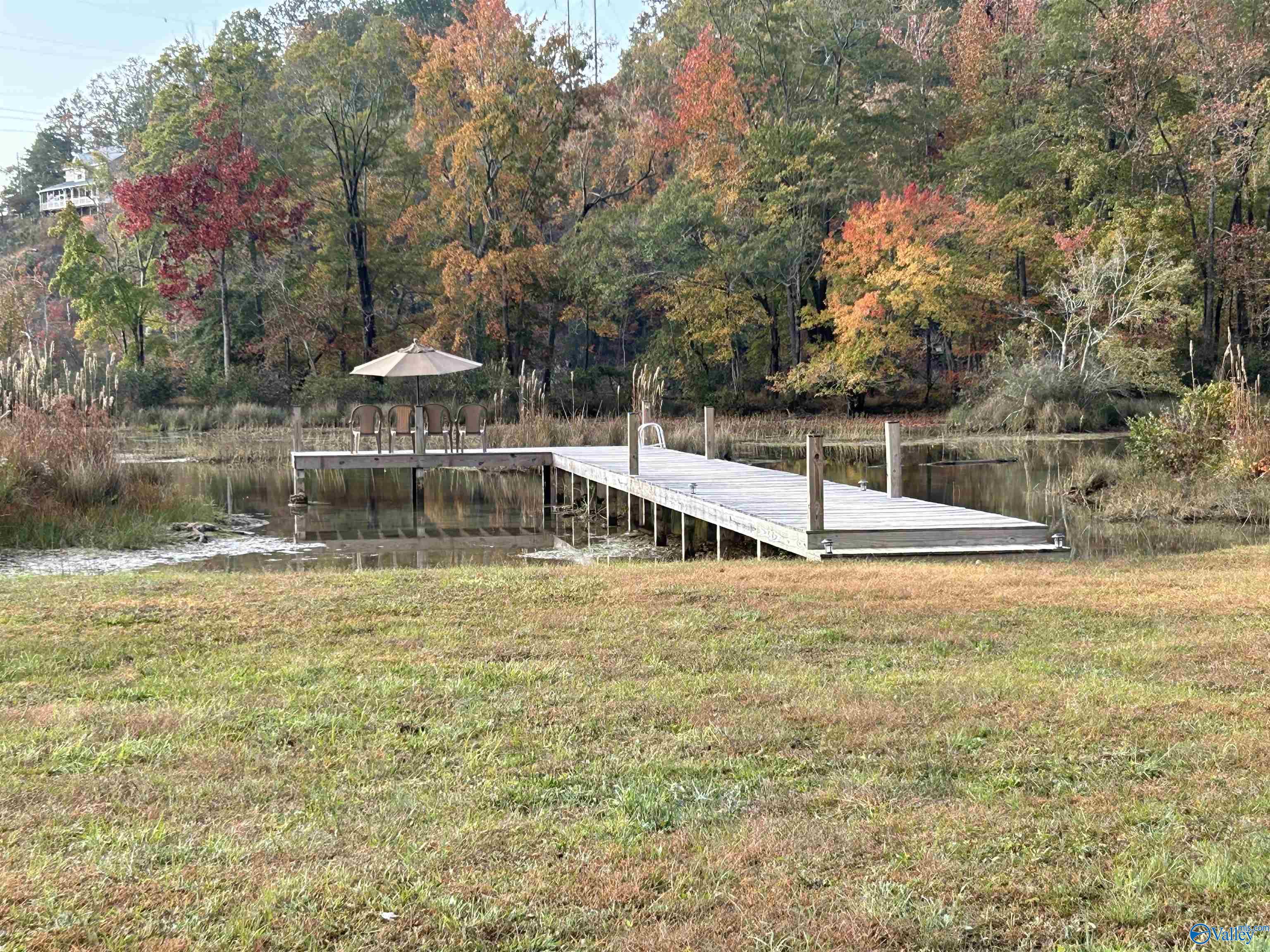 Lot 6 County Road 243, Cedar Bluff, Alabama image 6