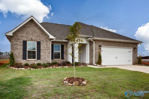 Homes For Sale - 255 John Harold Drive<br/> Madison County, Meridianville, AL 35759