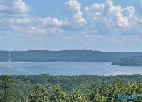 Vacant Land For Sale - 48 AC Mccorkle Mountain Road<br/> Scottsboro, AL 35769
