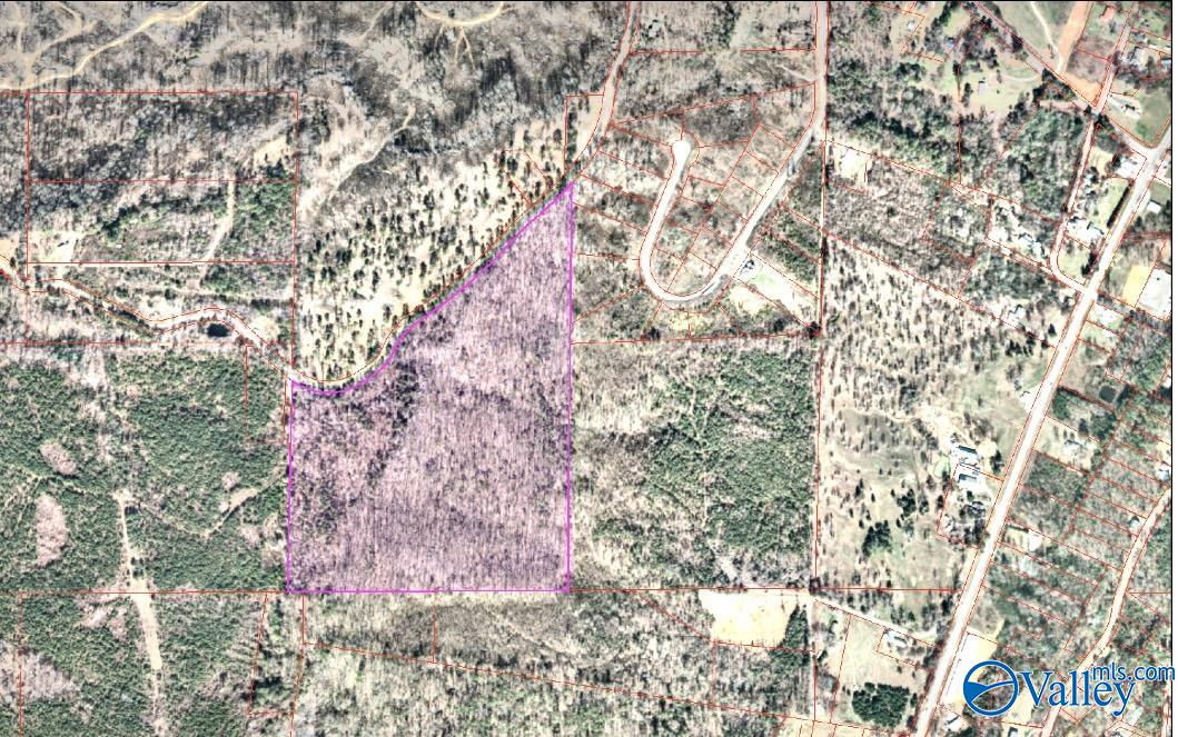 48 AC Mccorkle Mountain Road, Scottsboro, Alabama image 15