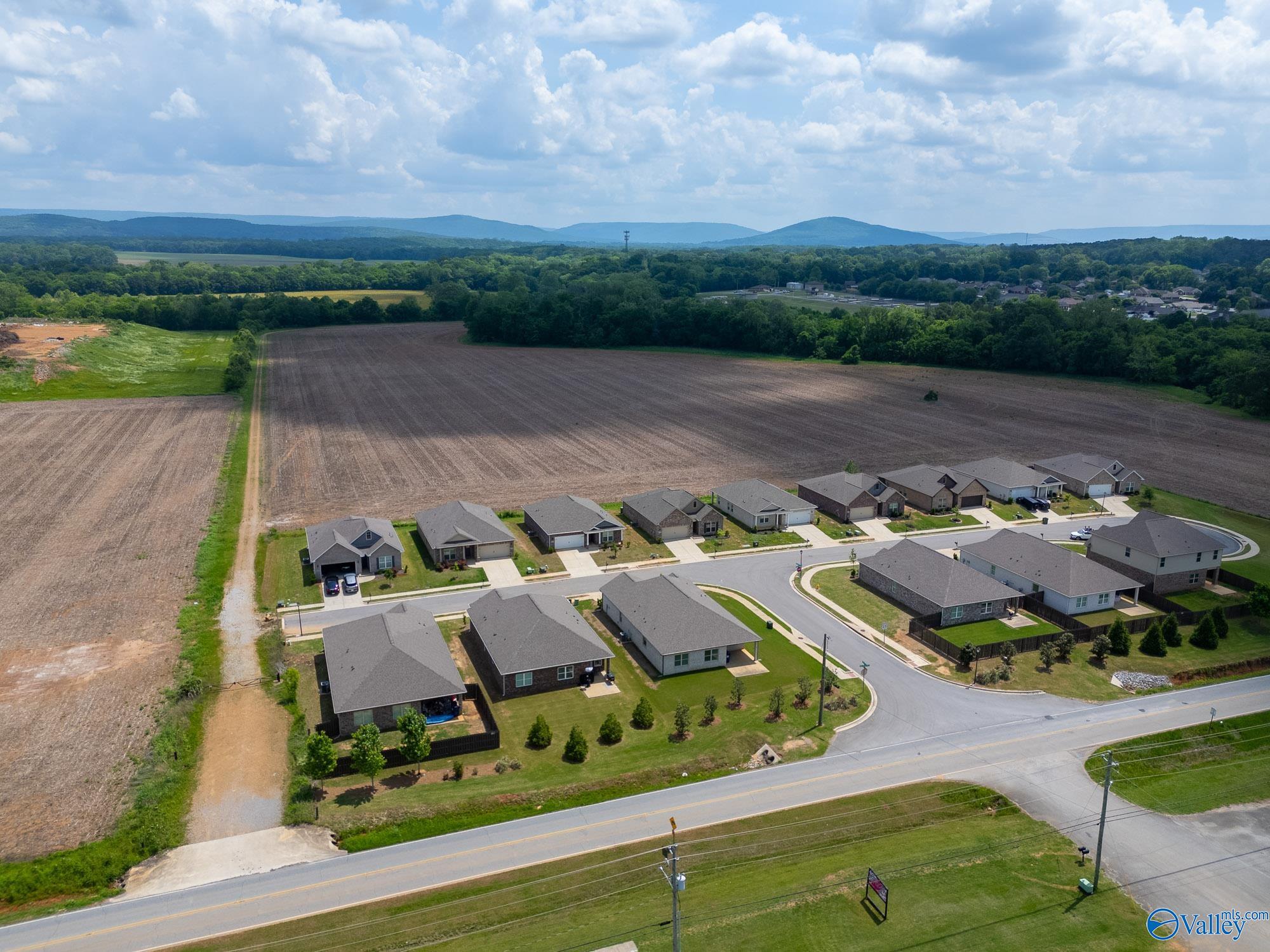 3207 Jordan Farm Circle, Huntsville, Alabama image 31