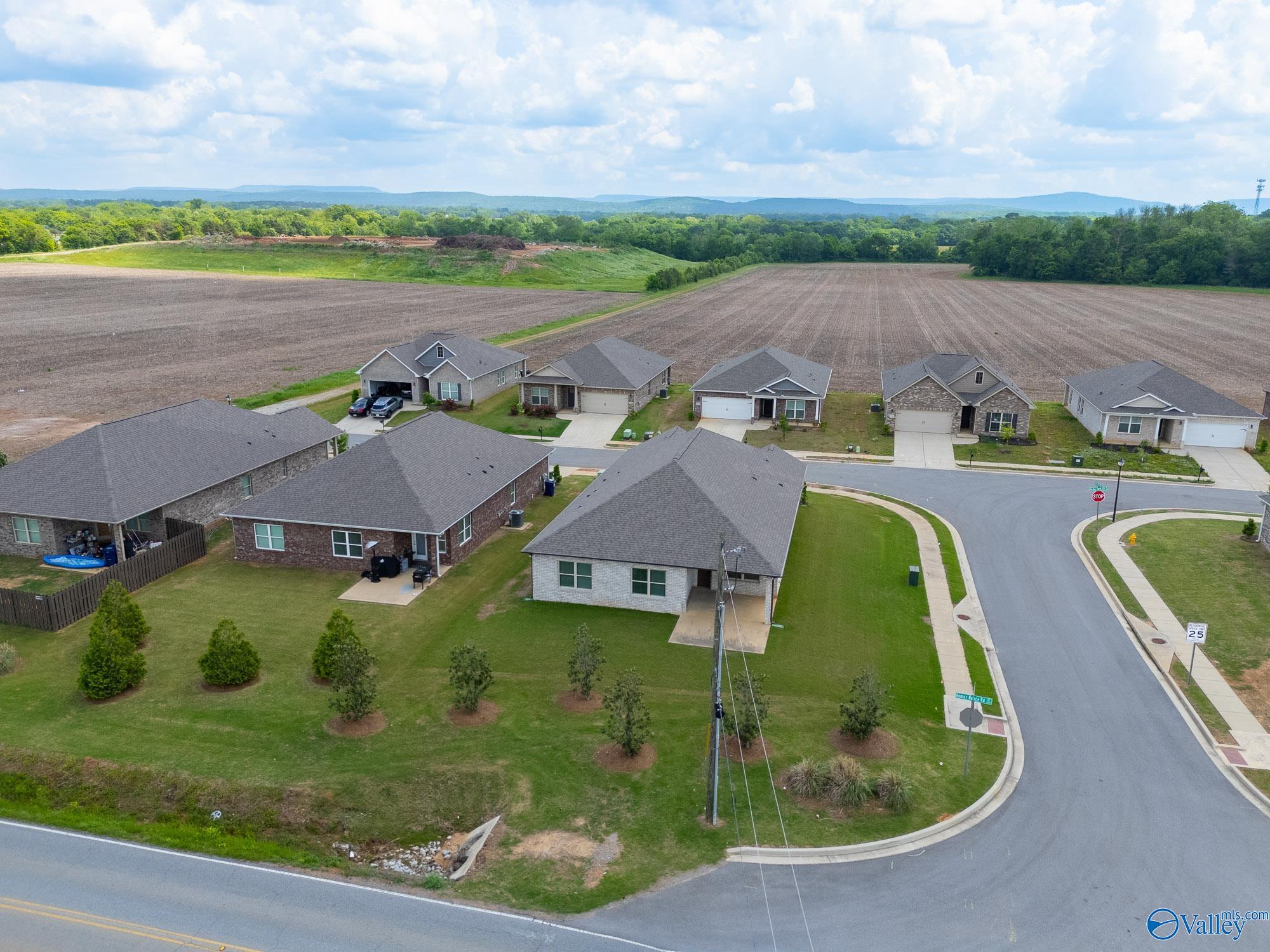3207 Jordan Farm Circle, Huntsville, Alabama image 33