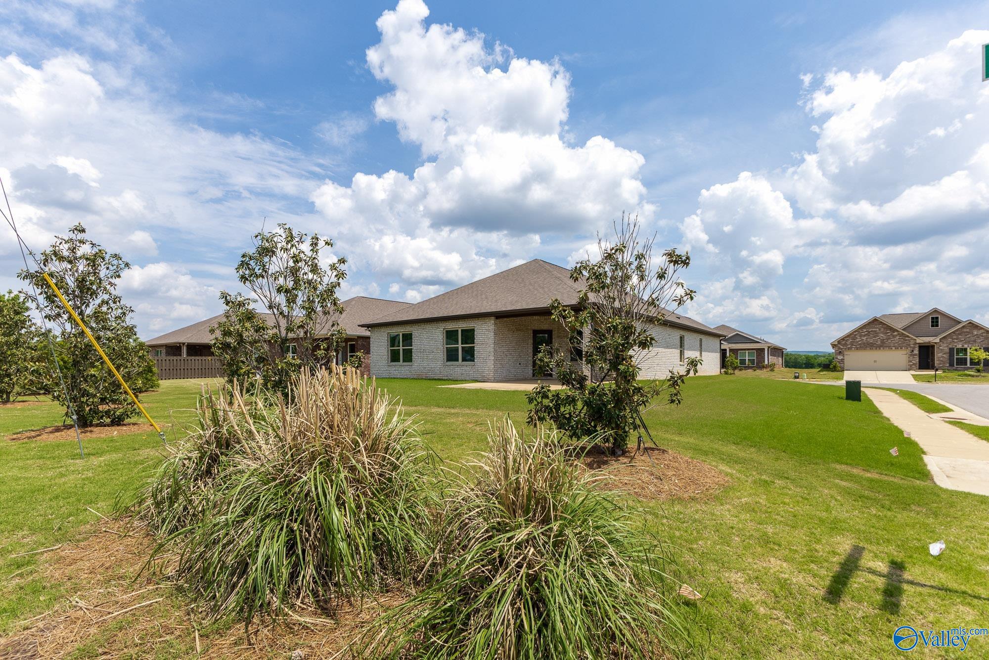 3207 Jordan Farm Circle, Huntsville, Alabama image 27
