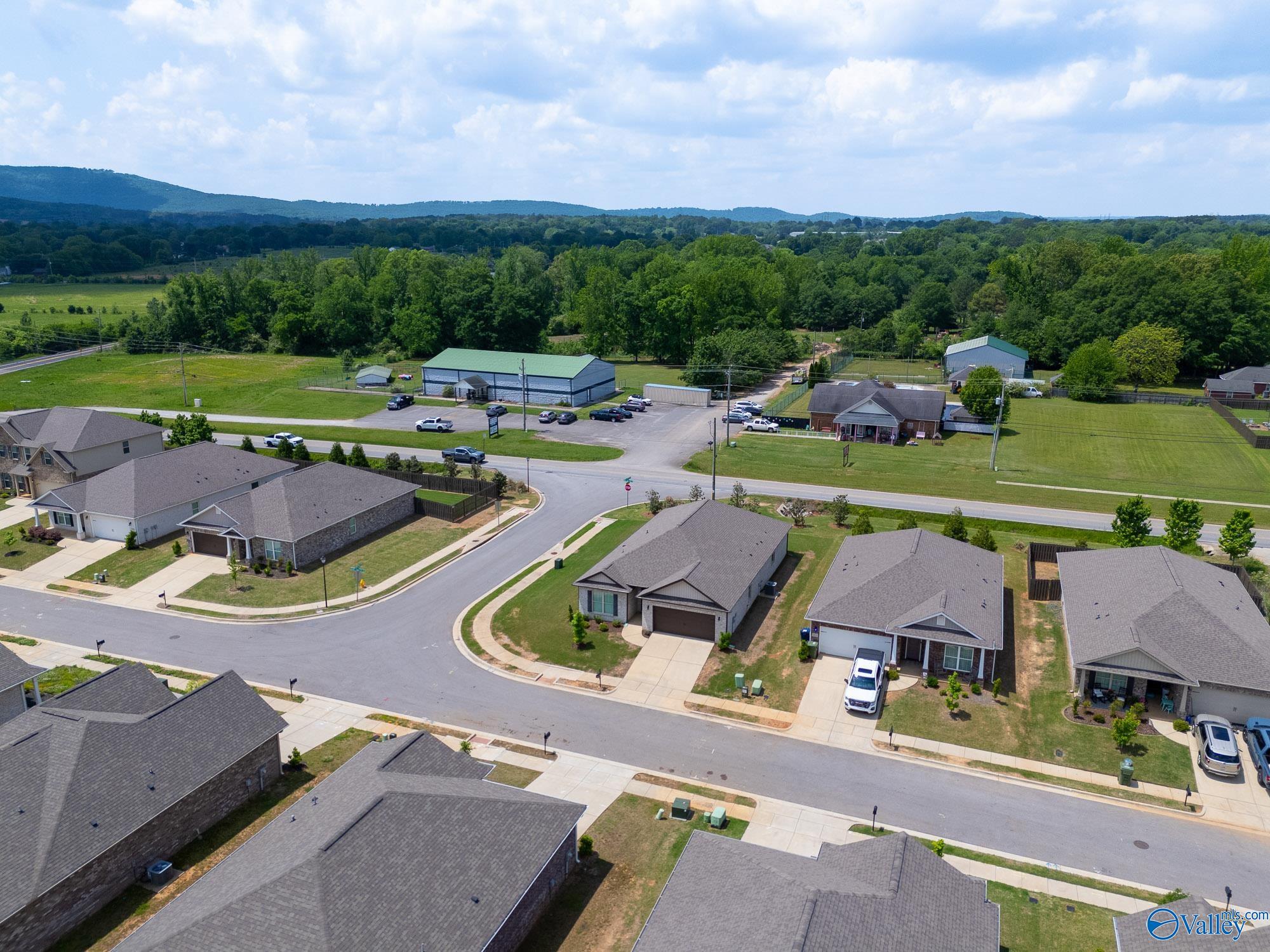 3207 Jordan Farm Circle, Huntsville, Alabama image 29