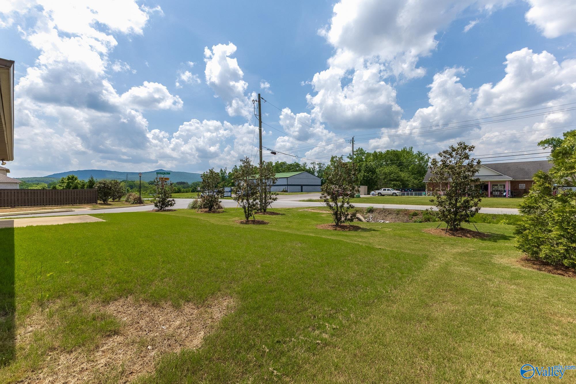 3207 Jordan Farm Circle, Huntsville, Alabama image 28
