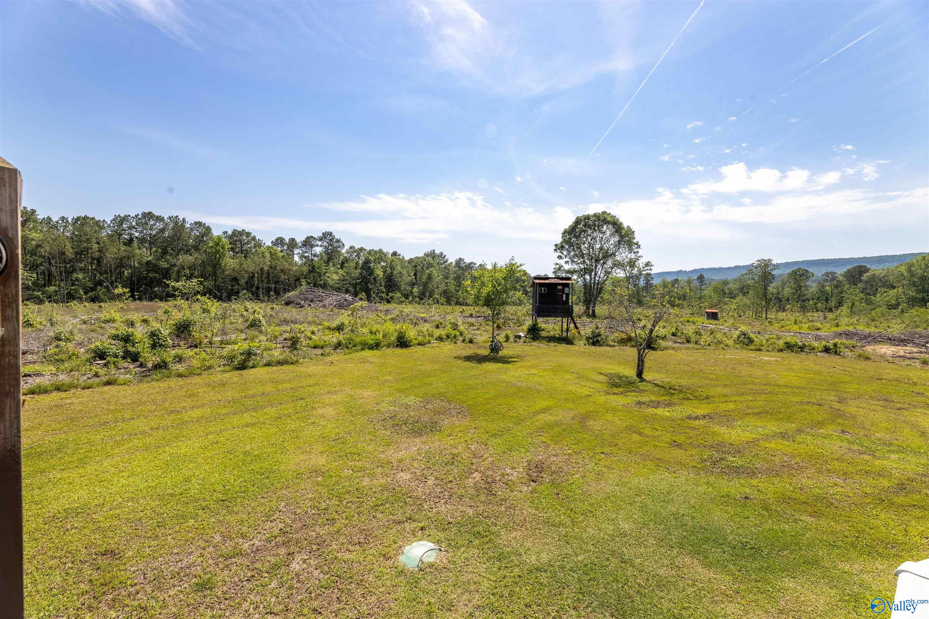 816 Wood Street, Steele, Alabama image 31