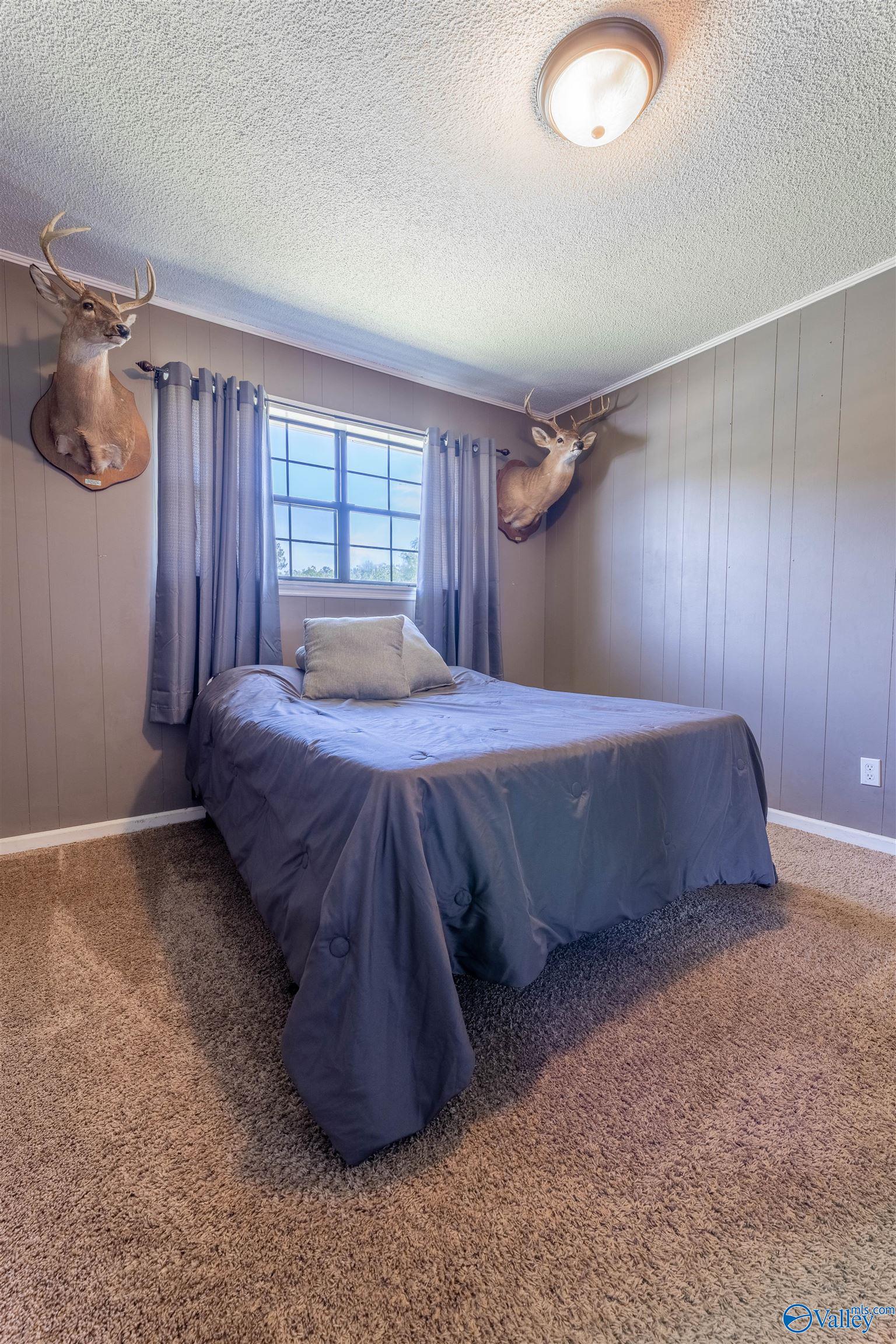 816 Wood Street, Steele, Alabama image 21