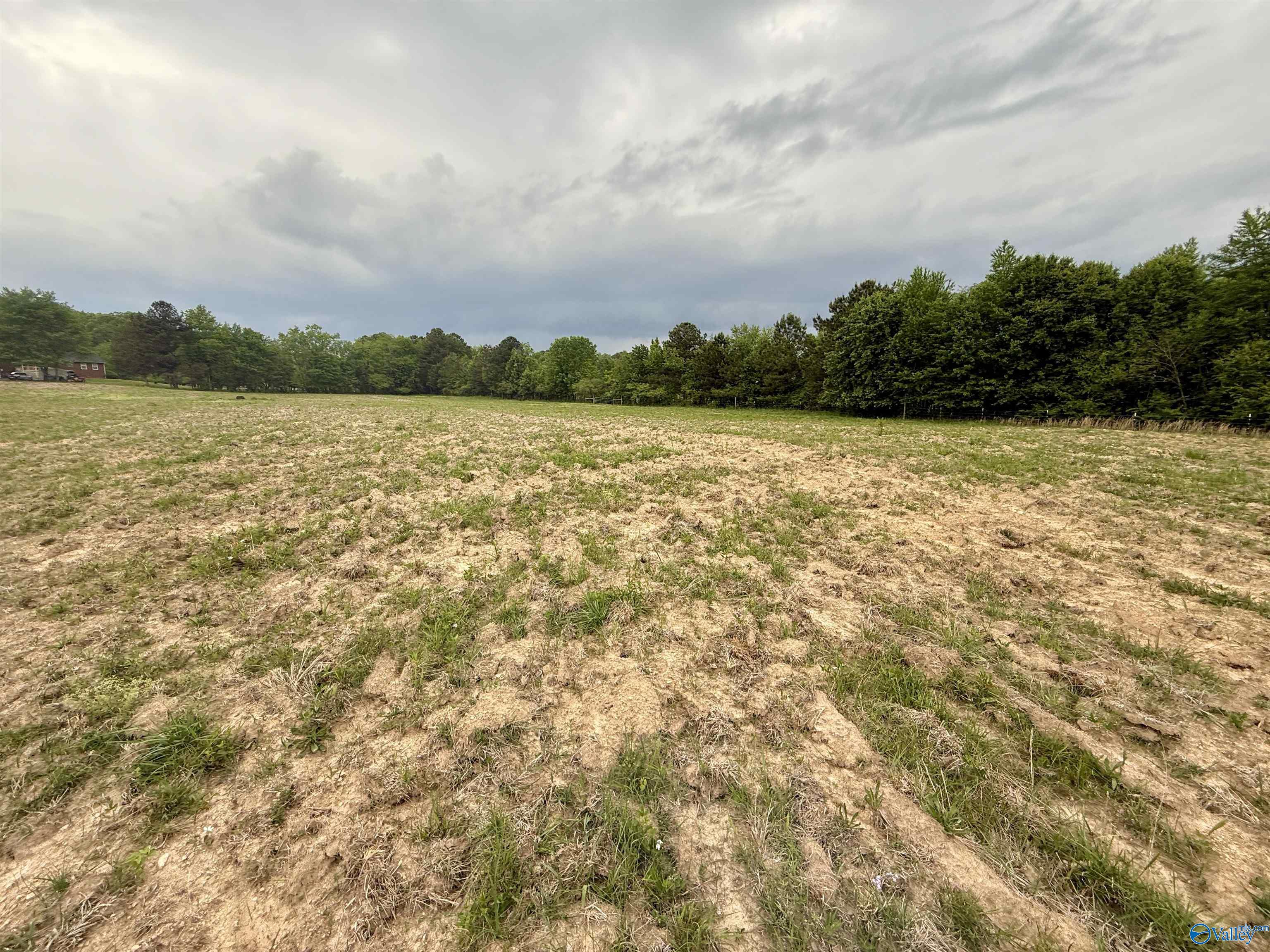 12 Acres County Road 726, Gaylesville, Alabama image 5