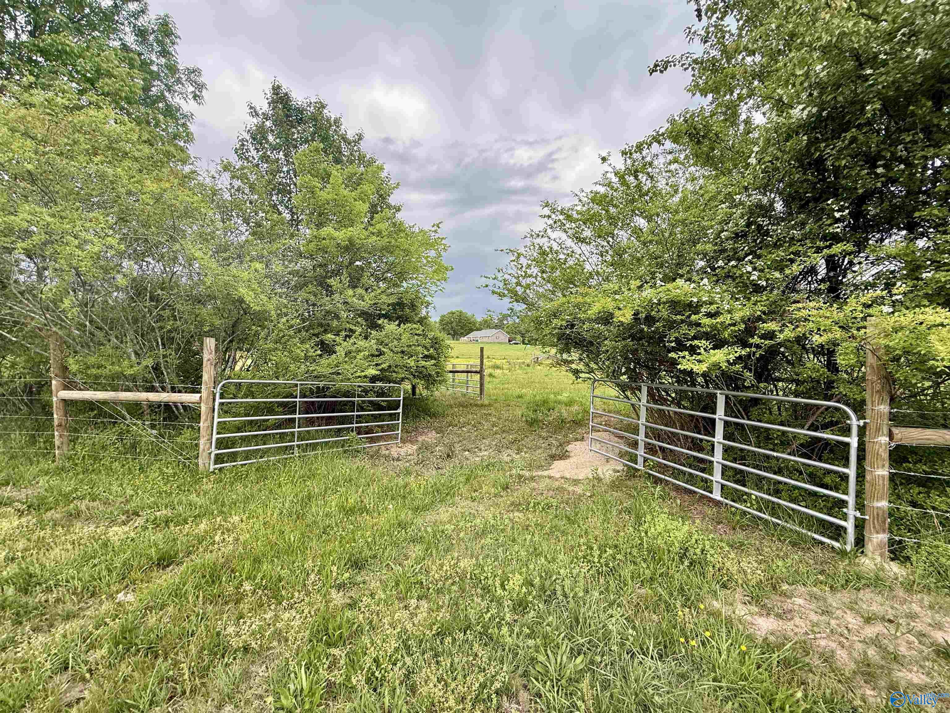 12 Acres County Road 726, Gaylesville, Alabama image 6