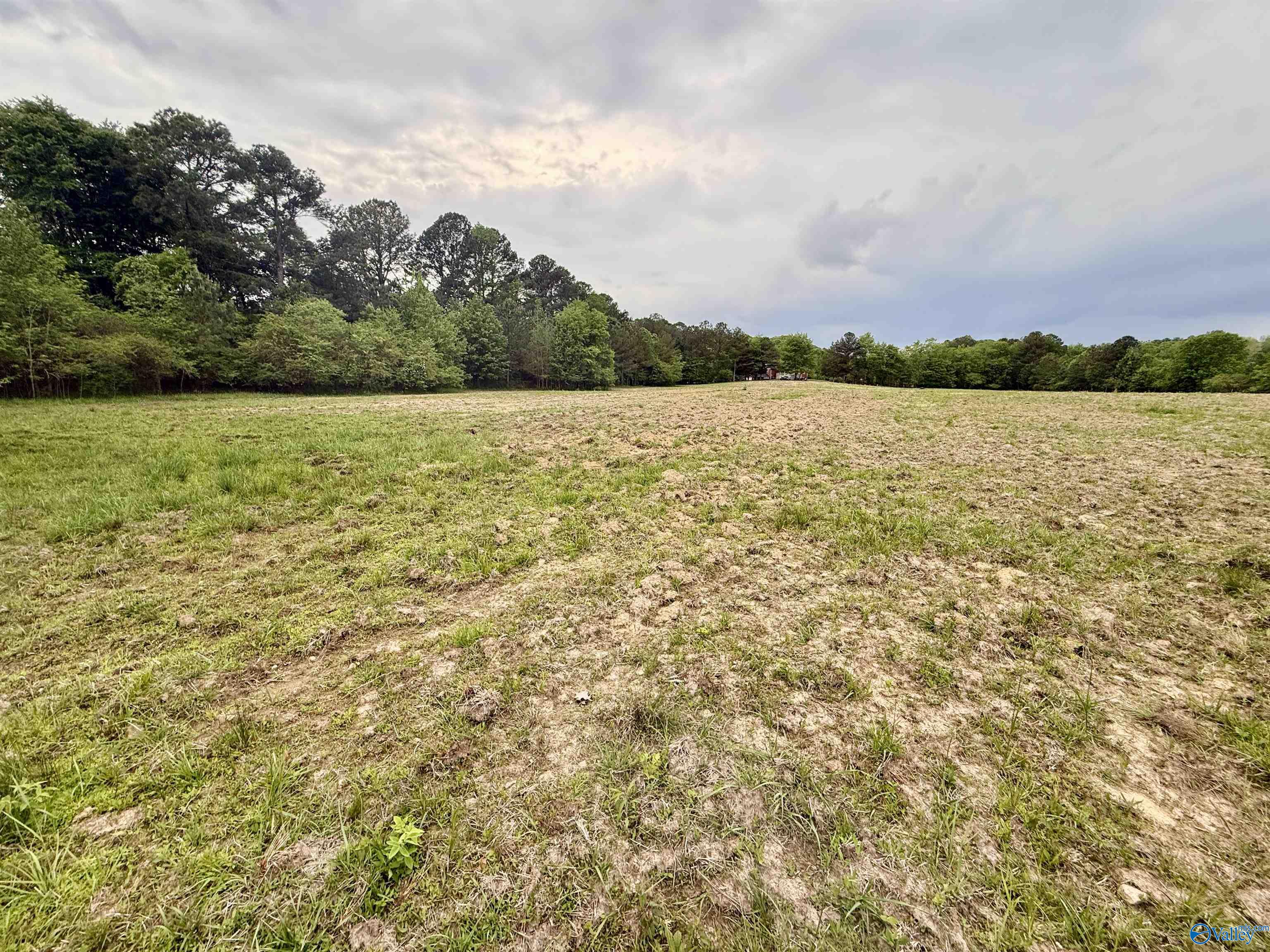 12 Acres County Road 726, Gaylesville, Alabama image 4