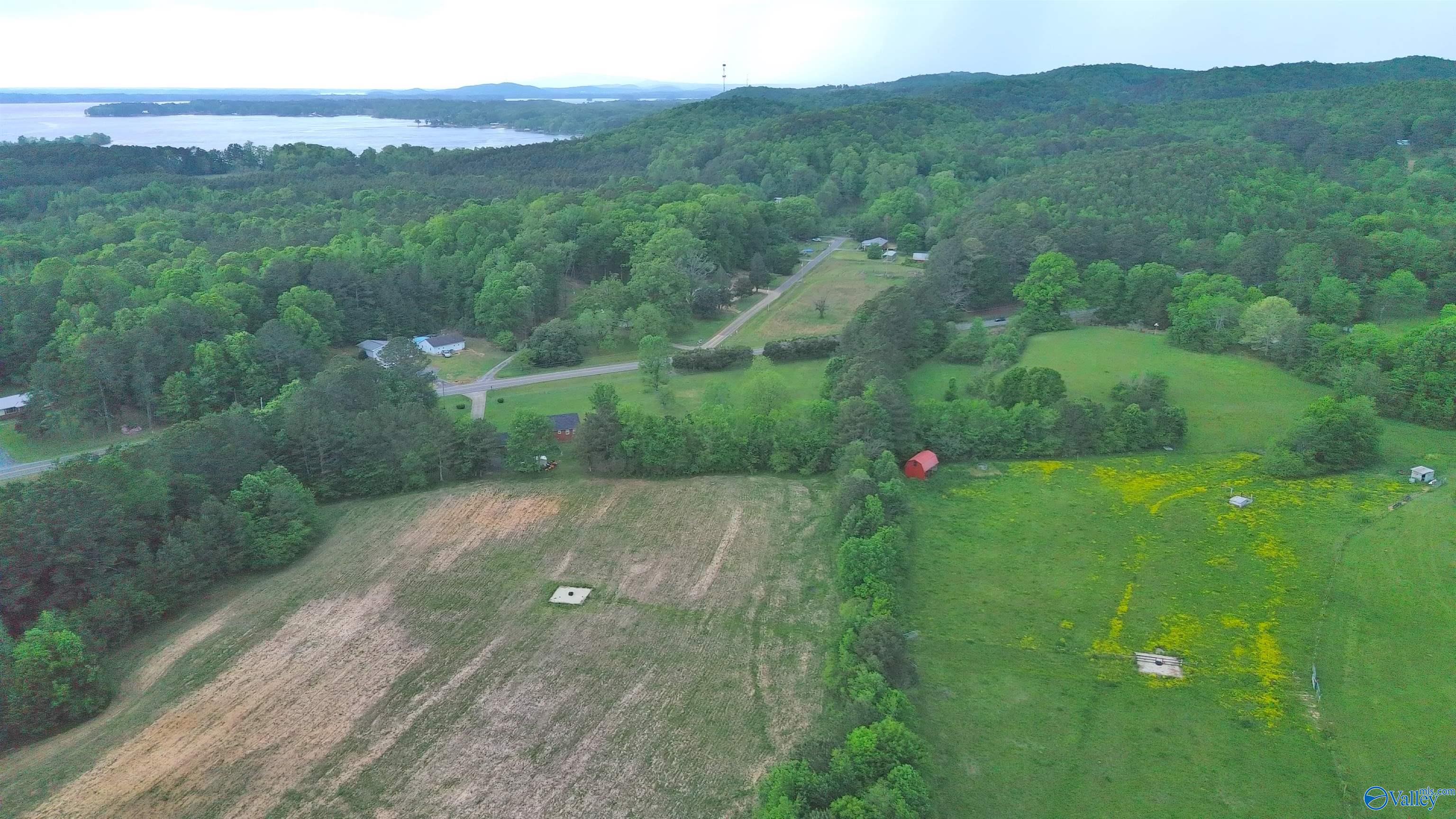 12 Acres County Road 726, Gaylesville, Alabama image 13