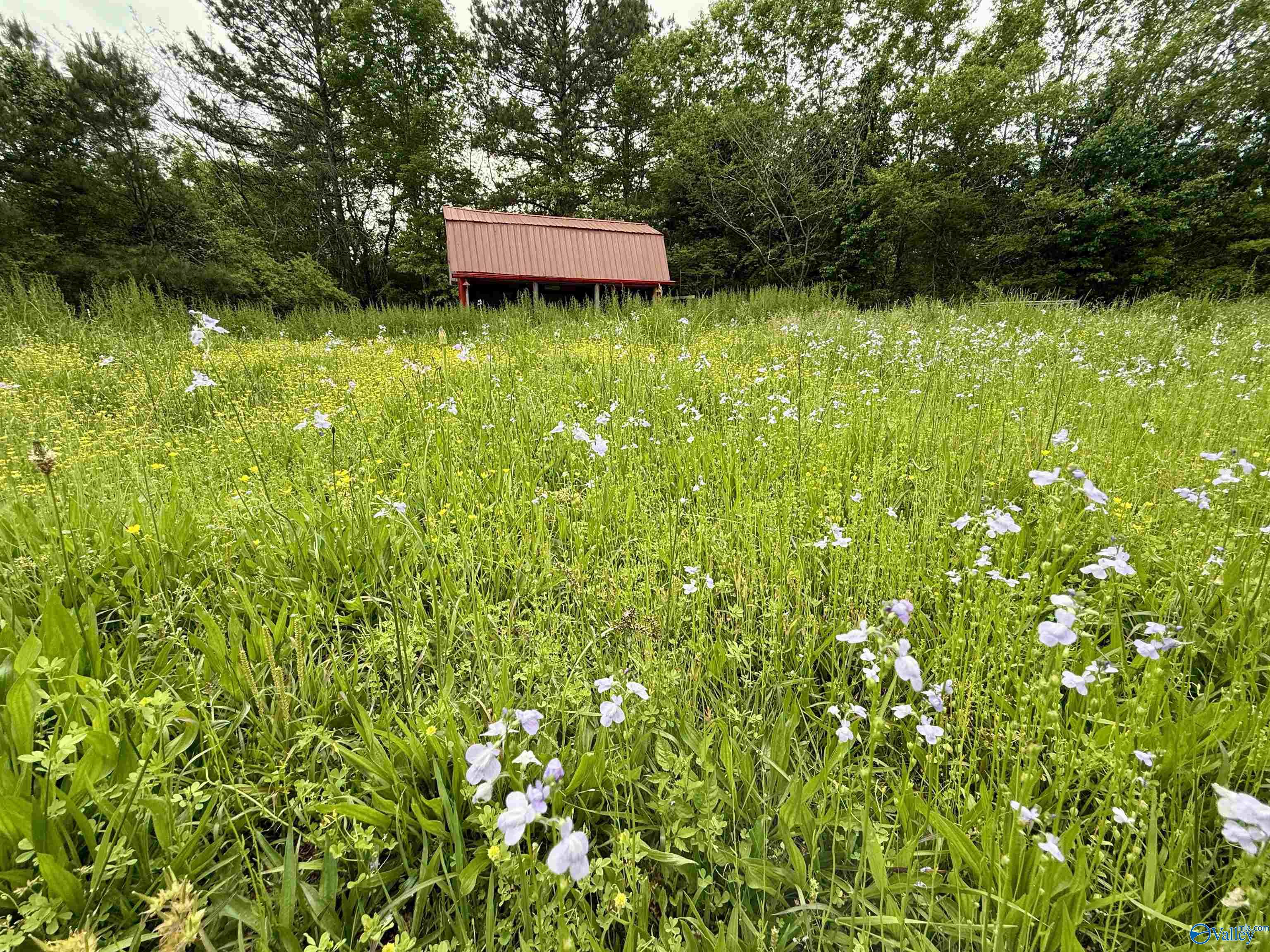 12 Acres County Road 726, Gaylesville, Alabama image 10