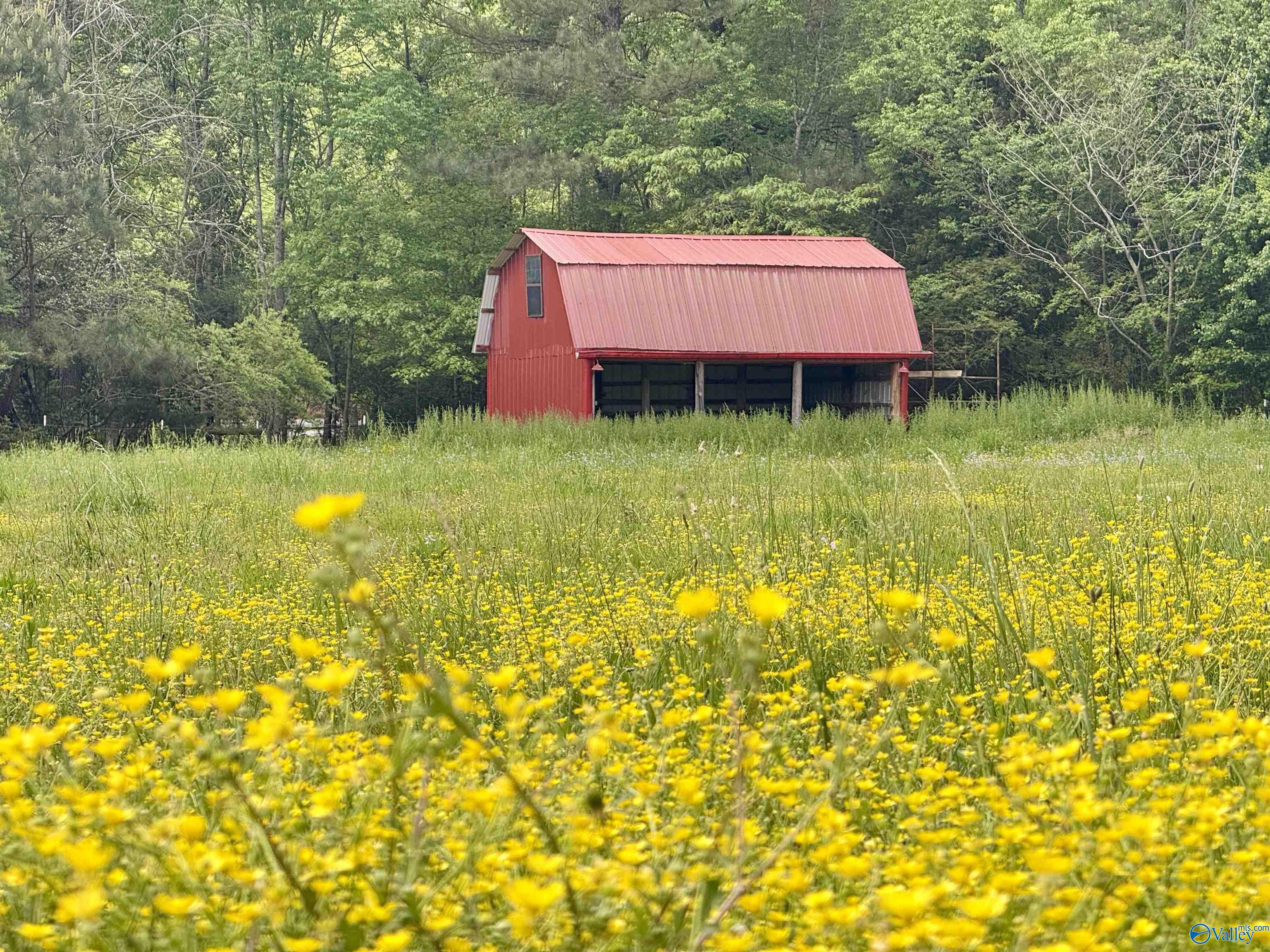 12 Acres County Road 726, Gaylesville, Alabama image 1