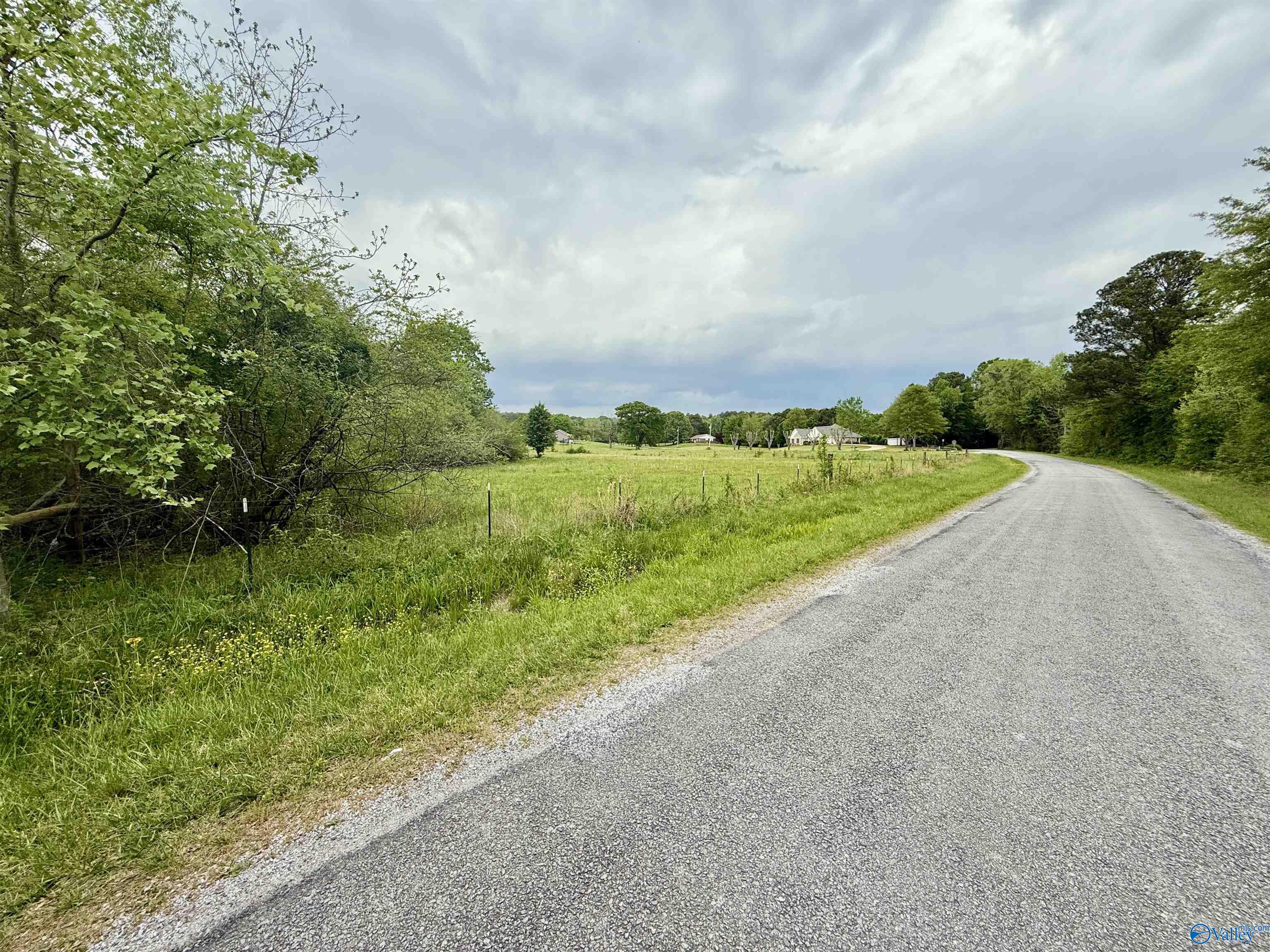 12 Acres County Road 726, Gaylesville, Alabama image 2