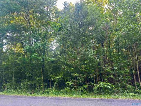 Vacant Land For Sale - 8 Creekside Lane<br/> Arab, AL 35016