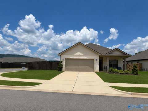 Homes For Sale - 6018 Margie Collins Drive<br/> Owens Cross Roads, AL 35763